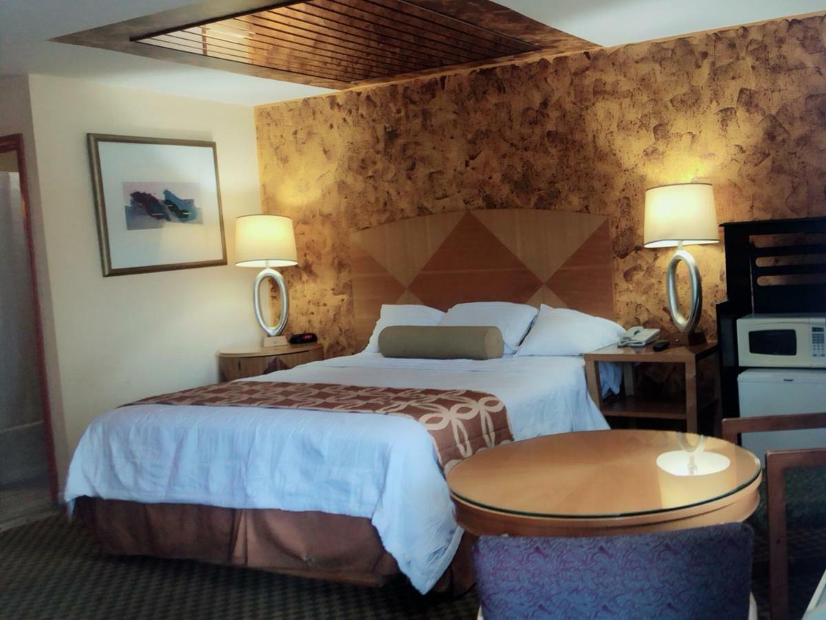 Sunflower Inn Ґалловей Екстер'єр фото